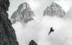 Bald Eagle Flying Through Clouds And Mountains 4k