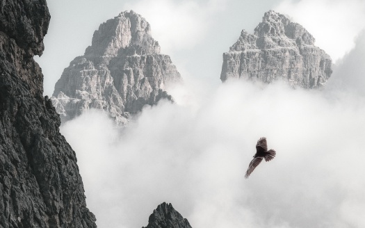 Bald Eagle Flying Through Clouds And Mountains 4k (click to view) HD Wallpaper