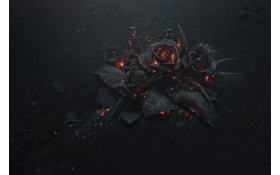 Burning Roses 5k