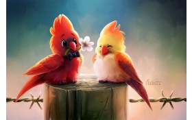 Cute Birds Romance 4k