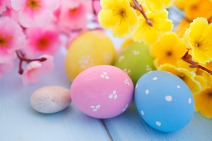 Easter Eggs and Spring Blossoms