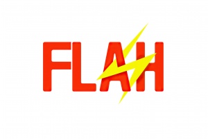 Flash Logo White 4k