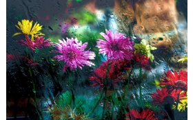 Flowers Behind Glass Drops