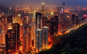Hong Kong Beauty