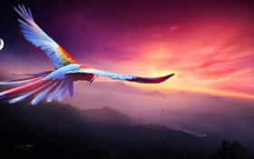 Macaw Flight Digital Art 4k