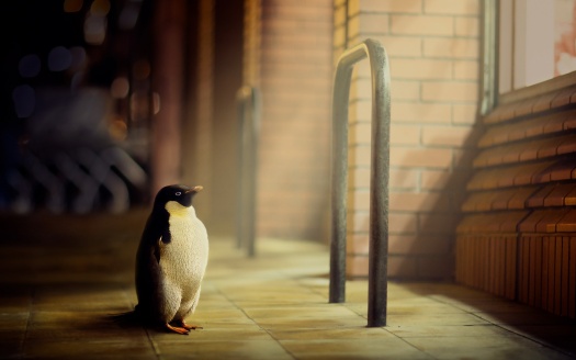 Penguin Hope (click to view) HD Wallpaper