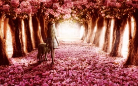 Pink Flowers Path