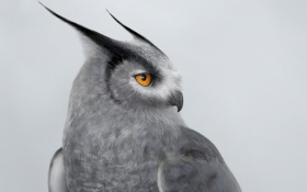 Silver Horned Owl