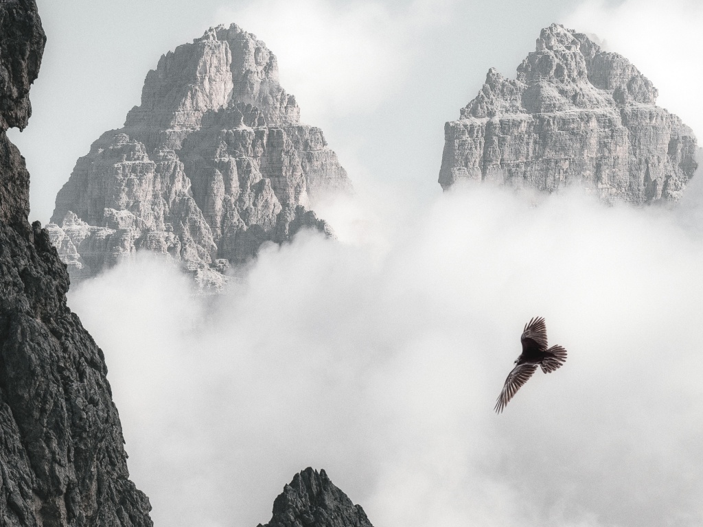 Bald Eagle Flying Through Clouds And Mountains 4k (click to view) HD Wallpapers in 1024x768 Resolution