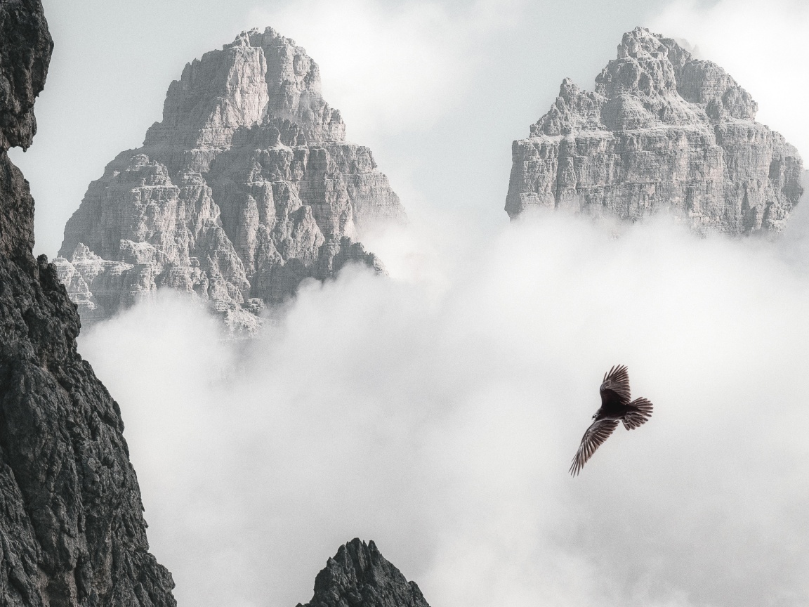 Bald Eagle Flying Through Clouds And Mountains 4k (click to view) HD Wallpapers in 1152x864 Resolution