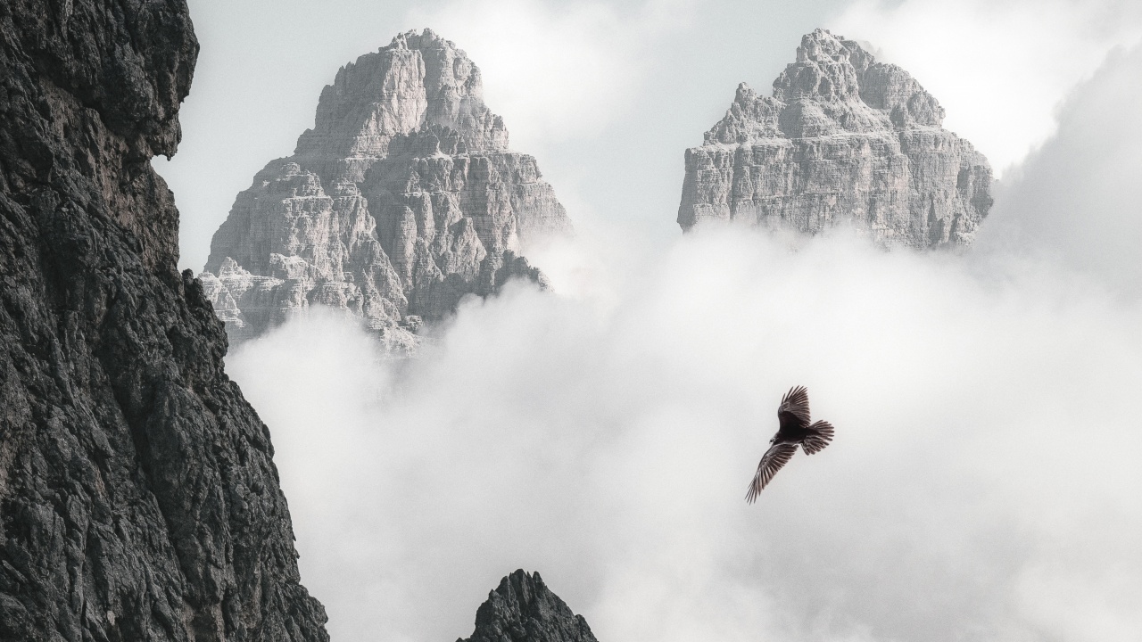 Bald Eagle Flying Through Clouds And Mountains 4k (click to view) HD Wallpapers in 1280x720 Resolution