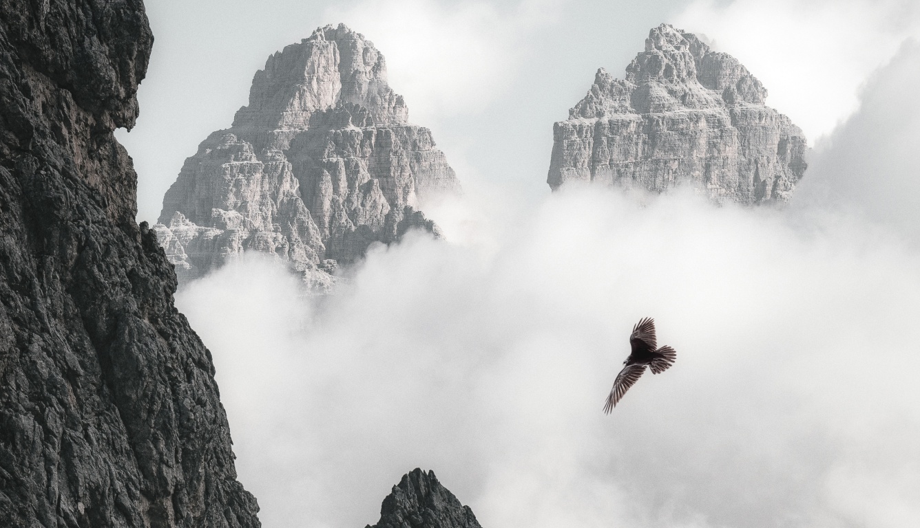 Bald Eagle Flying Through Clouds And Mountains 4k (click to view) HD Wallpapers in 1336x768 Resolution