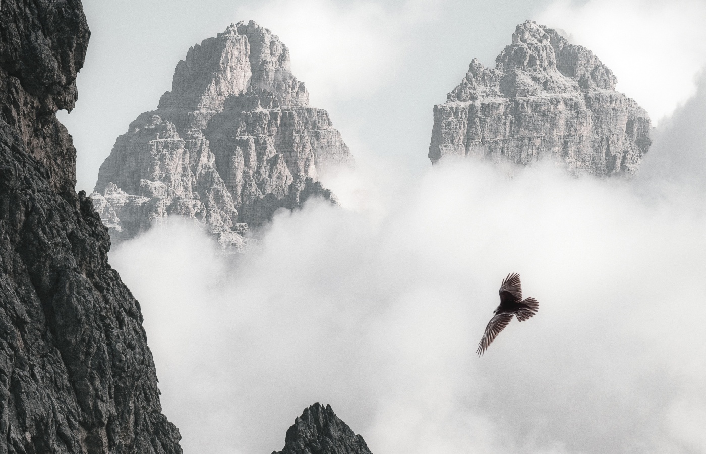Bald Eagle Flying Through Clouds And Mountains 4k (click to view) HD Wallpapers in 1400x900 Resolution