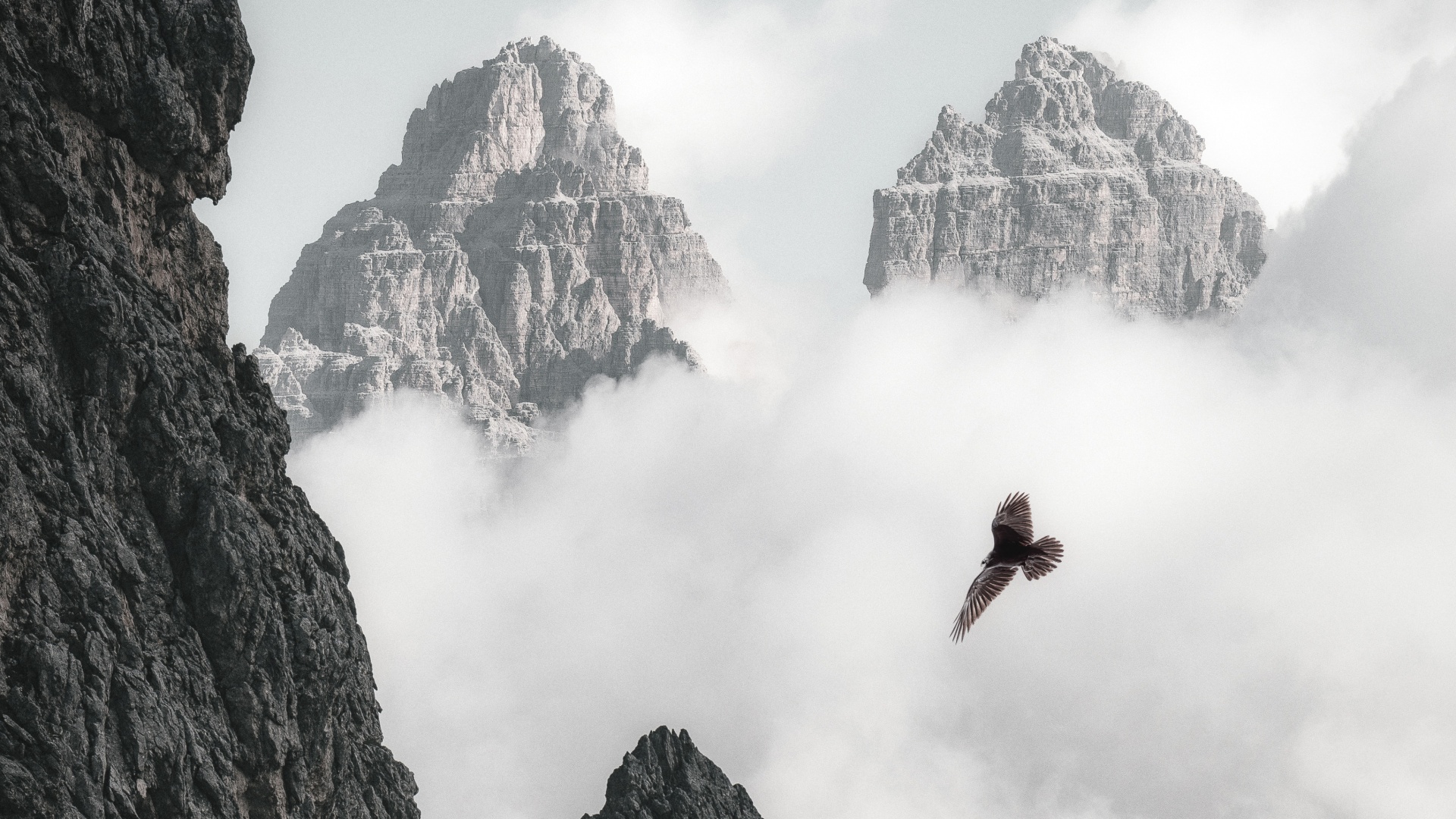 Bald Eagle Flying Through Clouds And Mountains 4k (click to view) HD Wallpapers in 1920x1080 Resolution