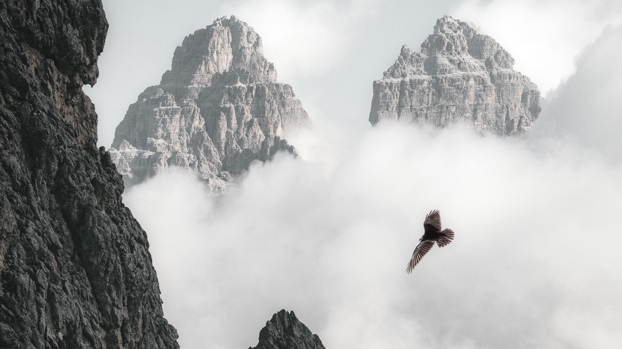 Bald Eagle Flying Through Clouds And Mountains 4k (click to view) HD Wallpapers in 2048x1152 Resolution