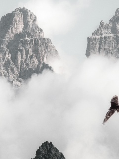Bald Eagle Flying Through Clouds And Mountains 4k (click to view) HD Wallpapers in 240x320 Resolution