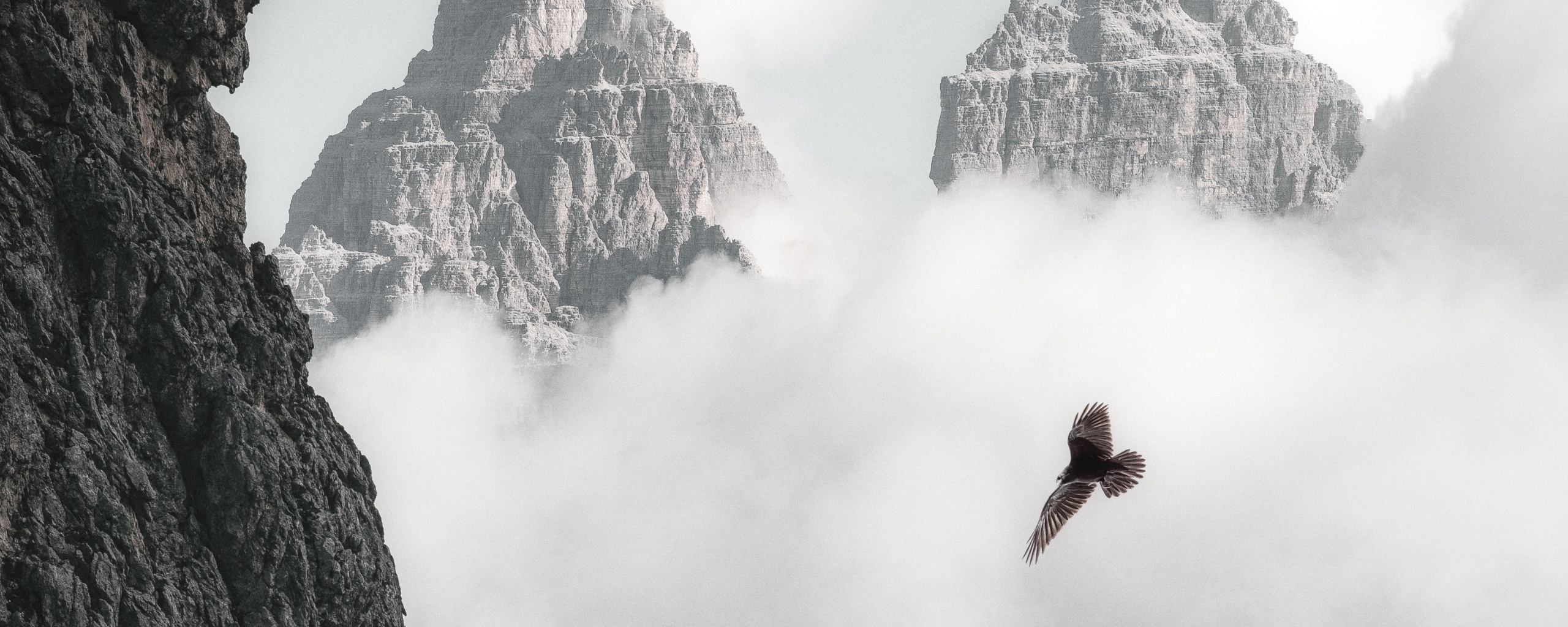 Bald Eagle Flying Through Clouds And Mountains 4k (click to view) HD Wallpapers in 2560x1024 Resolution