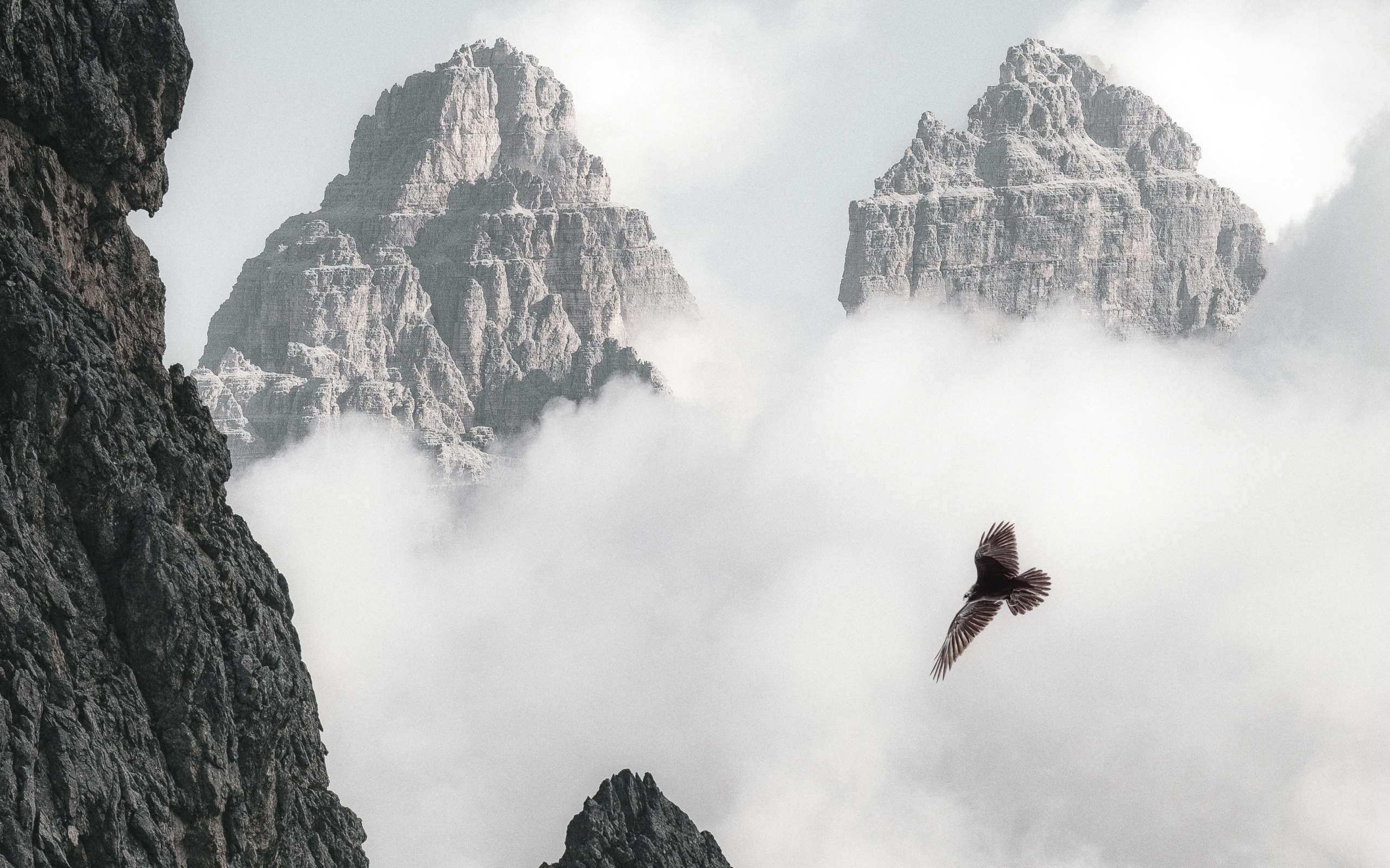 Bald Eagle Flying Through Clouds And Mountains 4k (click to view) HD Wallpapers in 2560x1600 Resolution