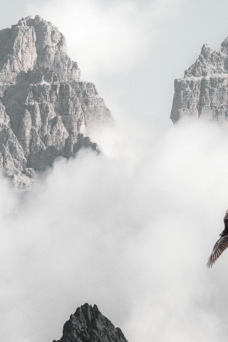 Bald Eagle Flying Through Clouds And Mountains 4k (click to view) HD Wallpapers in 320x480 Resolution