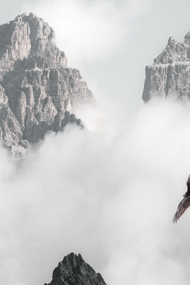 Bald Eagle Flying Through Clouds And Mountains 4k (click to view) HD Wallpapers in 640x960 Resolution